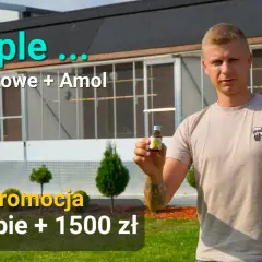 Krople żołądkowe dla gołębi: Pełny poradnik dawkowanie i błędy.