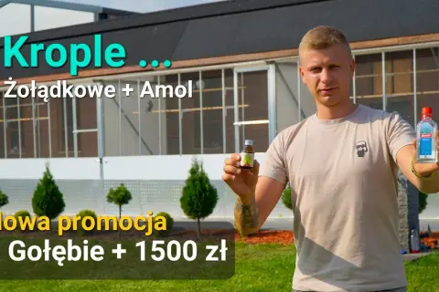 Krople żołądkowe dla gołębi: Pełny poradnik dawkowanie i błędy.