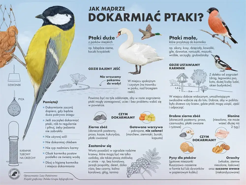 r&oacute;żne rodzaje karmy dla ptak&oacute;w zimą