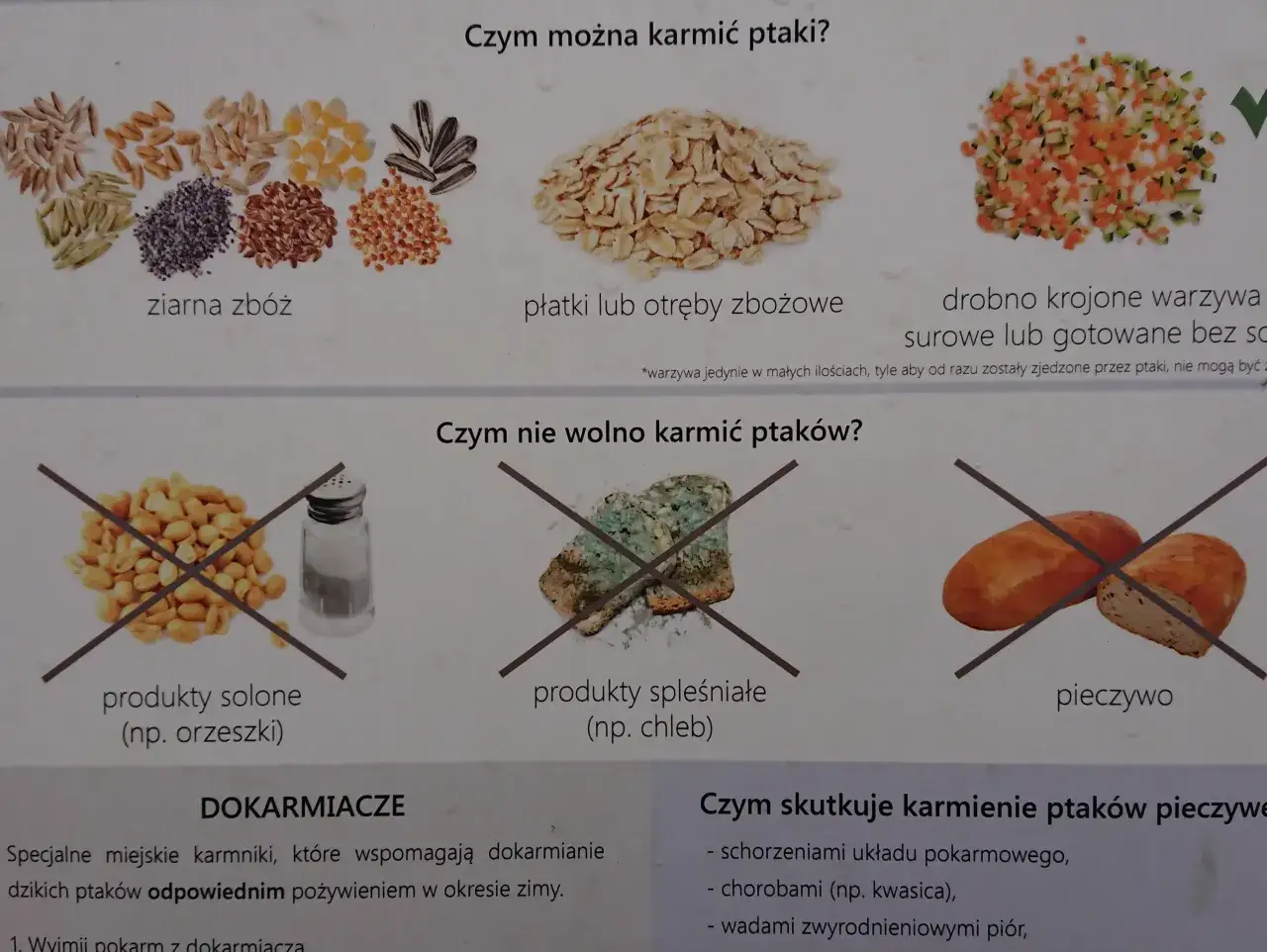 Zakazane jedzenie dla ptaków chleb sól